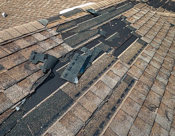 roof inspection in Fishers, IN for shingle health