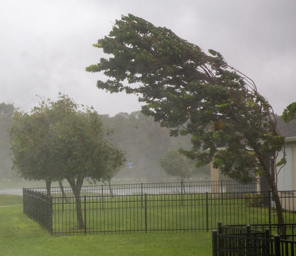 Strong winds damage residential neighborhood in Indianapolis